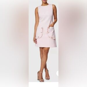 Betsey Johnson Charming Pink Sleeveless dress with ruffled pockets sz 4P